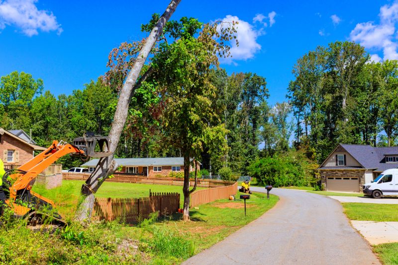 Contact About Tree Limb Removal