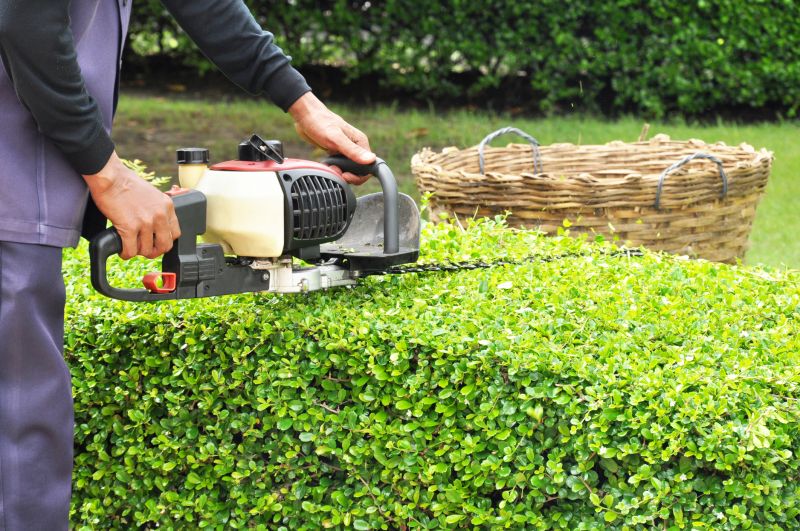 Hedge Trimming in Aiken, SC