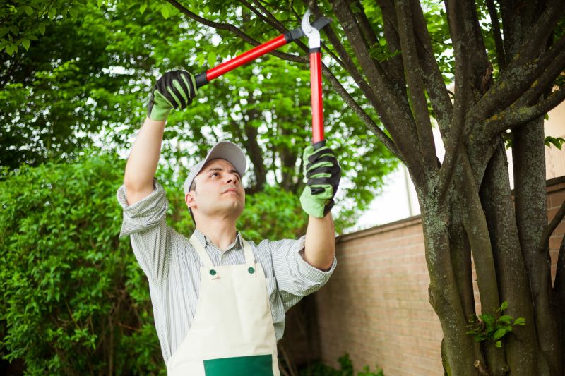 Aesthetic Tree Pruning