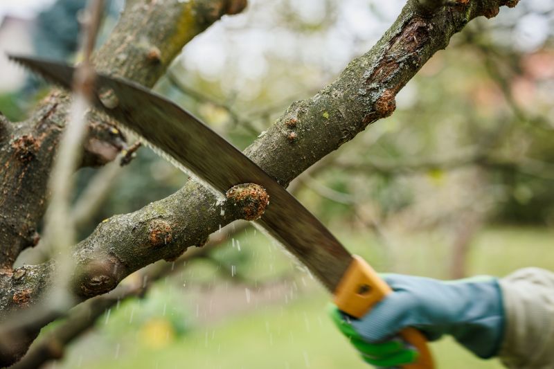 Prevent Pest Infestations